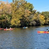 Image 4: Immerse into Chicago Nature with Wateriders' Kayak Rentals!