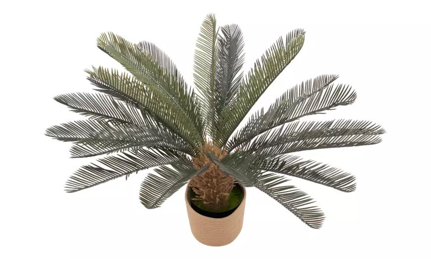 Image 11: Plantas artificiales decorativas en diferentes diseños