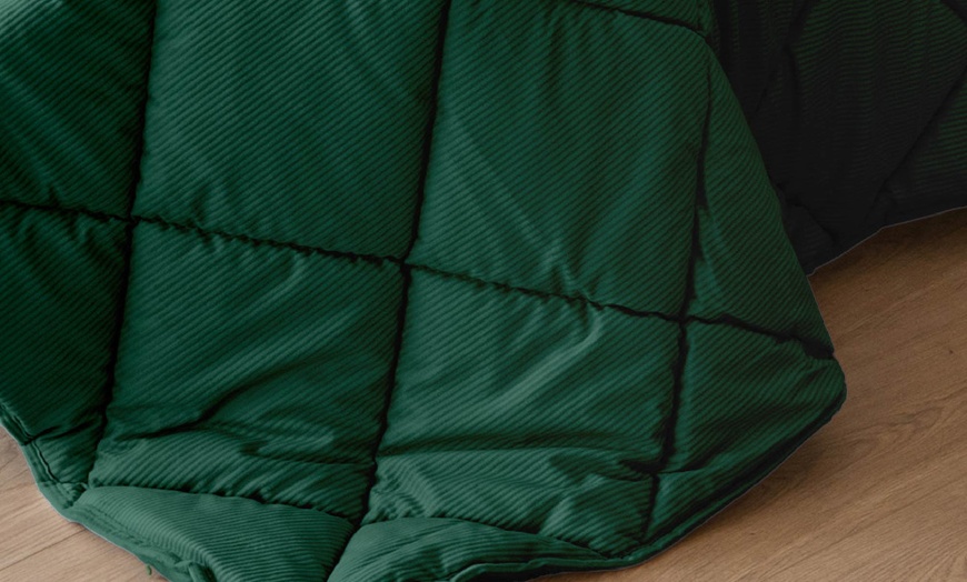 Image 6: Trapunta invernale matrimoniale in velluto