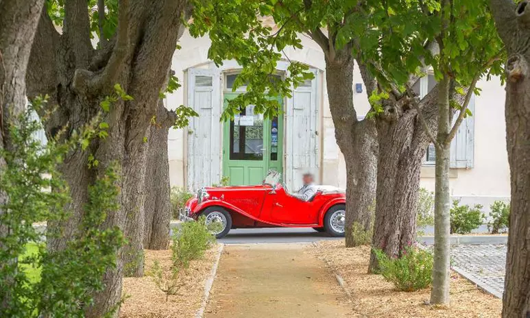 Carcassonne : studio ou appartement avec PDJ et balcon en option