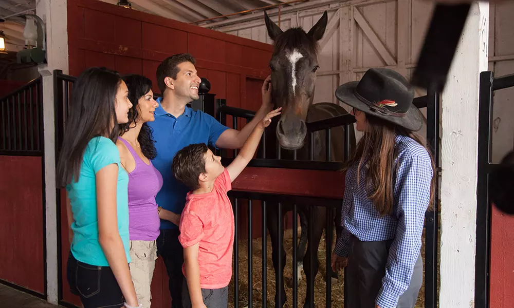 LIMITED TIME OFFER: Knott's Berry Farm - Up to 50% Off