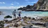 Oahu See It All Circle Island Tour with 10+ Stops! Tickets for One or Two People with The Pineapple Express - Save 27%