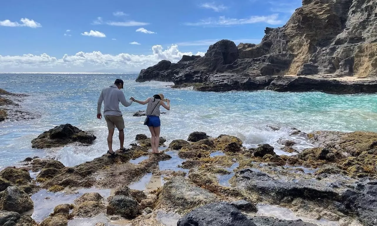 Oahu See It All Circle Island Tour with 10+ Stops! Tickets for One or Two People with The Pineapple Express - Save 27% - Primary Image