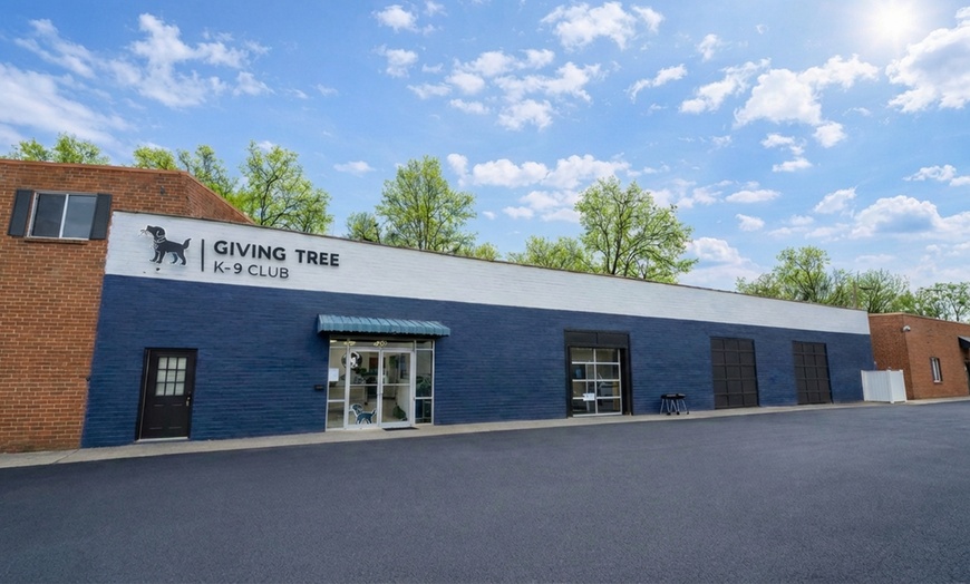 Image 5: Care Your Pups with 1 or 3 Full Days of Day Care or Nights of Boarding