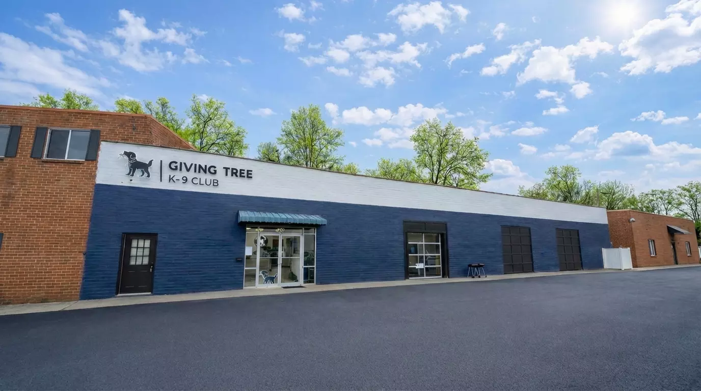 Care Your Pups with 1 or 3 Full Days of Day Care or Nights of Boarding