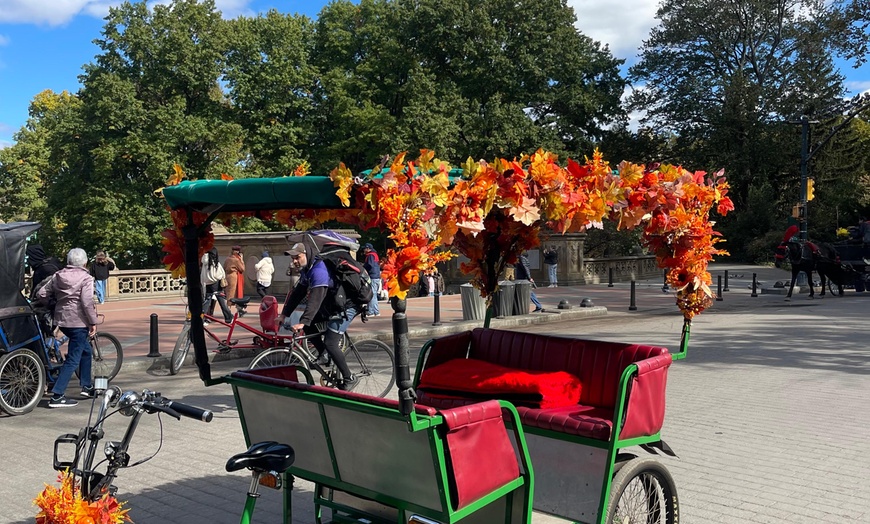 Image 19: Central Park Pedicab Tour: Classic, Deluxe or Elite PediCab Tour