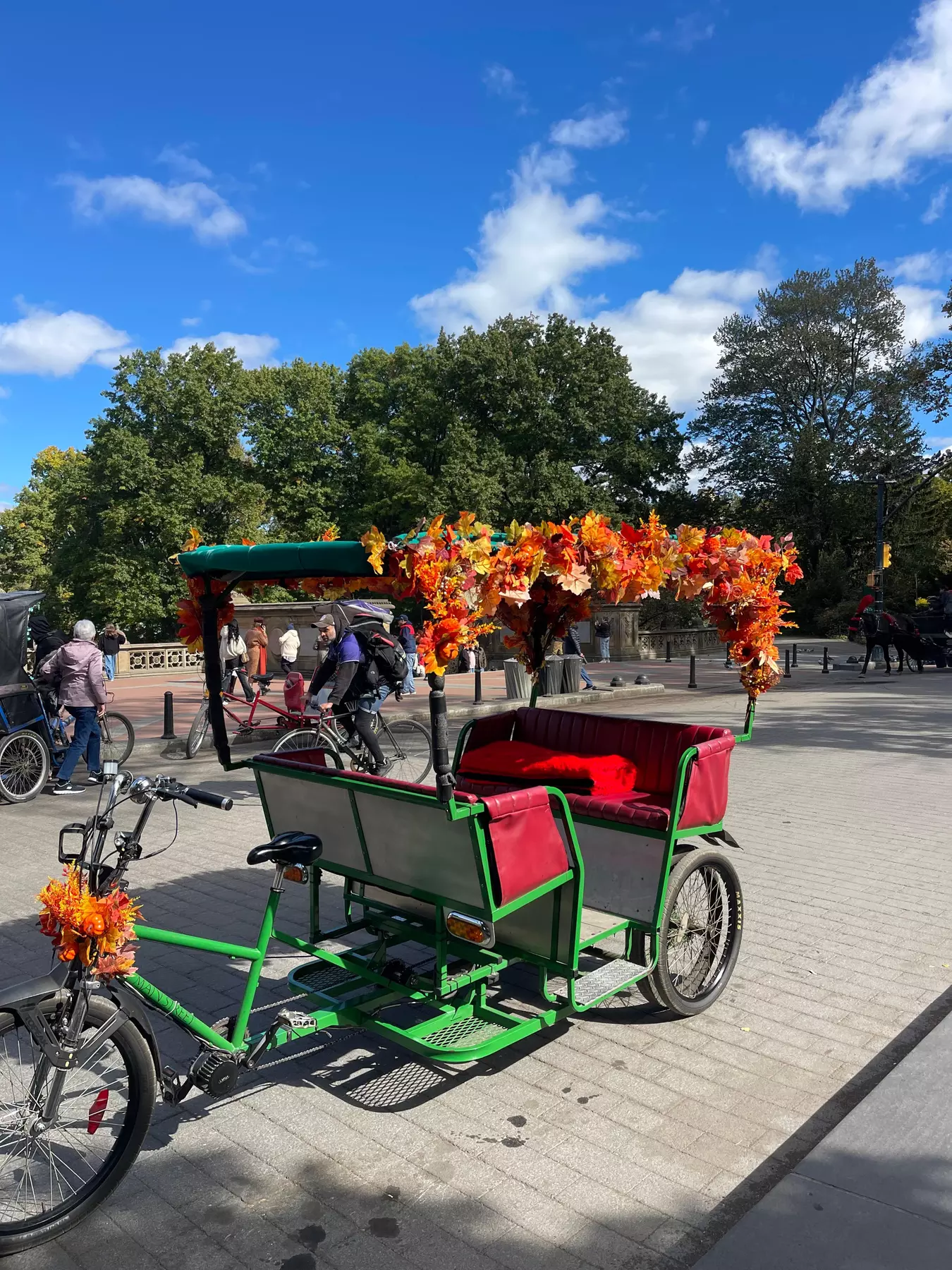 Central Park Pedicab Tour: Classic, Deluxe or Elite PediCab Tour