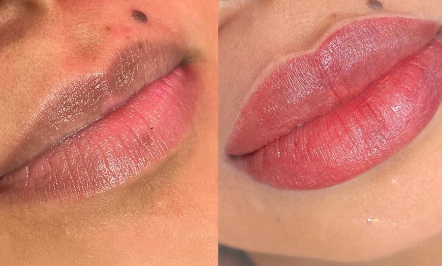 Image 5: Perfect Lips: Semi-Permanent Blush, Lip Liner & Dark Lip Correction