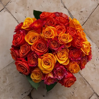 Premium Farm-Direct Roses