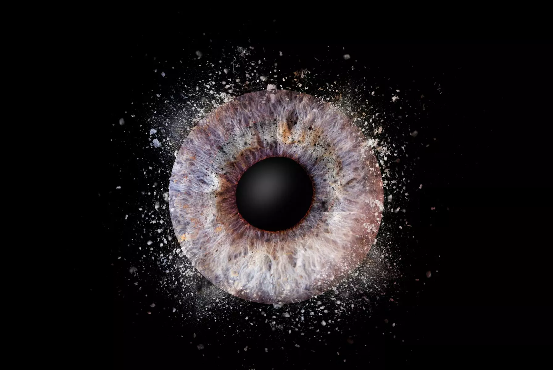 Iris-Fotoshooting inkl. digitale Datei in voller Auflösung