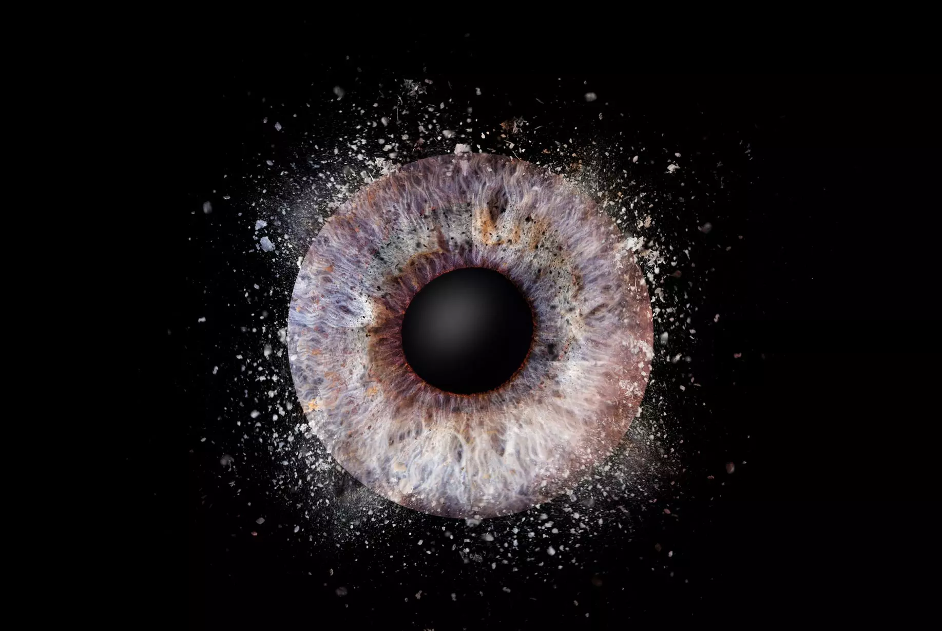 Iris-Fotoshooting inkl. digitale Datei in voller Auflösung