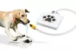 iMounTEK Outdoor Step-On Dog Water Fountain Pet Water Dispenser - Second Medium