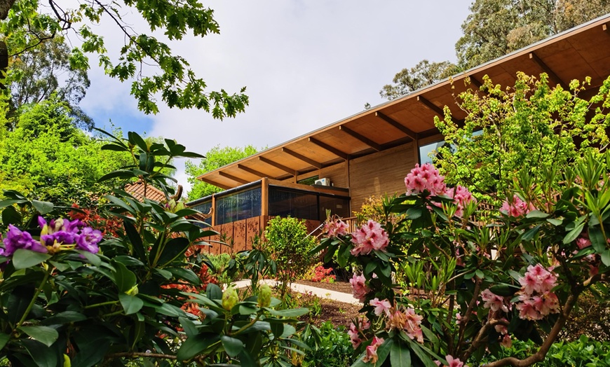 Image 5: 3-Course Dining Experience with Glass of Wine for Two or Four People