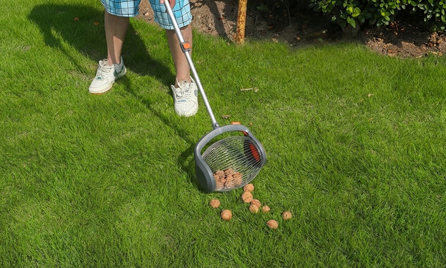 Image 7: Rullo raccogli frutta con asta telescopica Boudech
