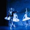 Image 5: „Swan Lake – Beyond the Stage“: Ticket vom 1.10. bis 5.10.2025