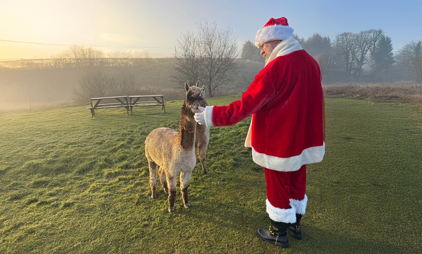 Image 3: Christmas Alpaca Meet and Feed with Santa Gift and Crafts