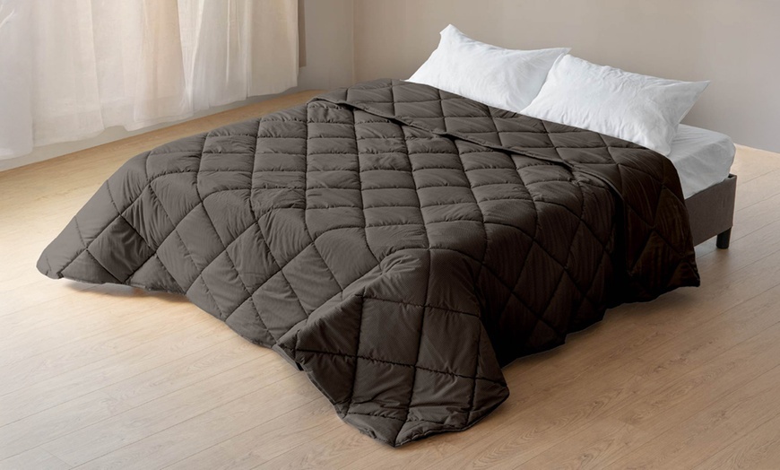 Image 13: Trapunta invernale matrimoniale in velluto