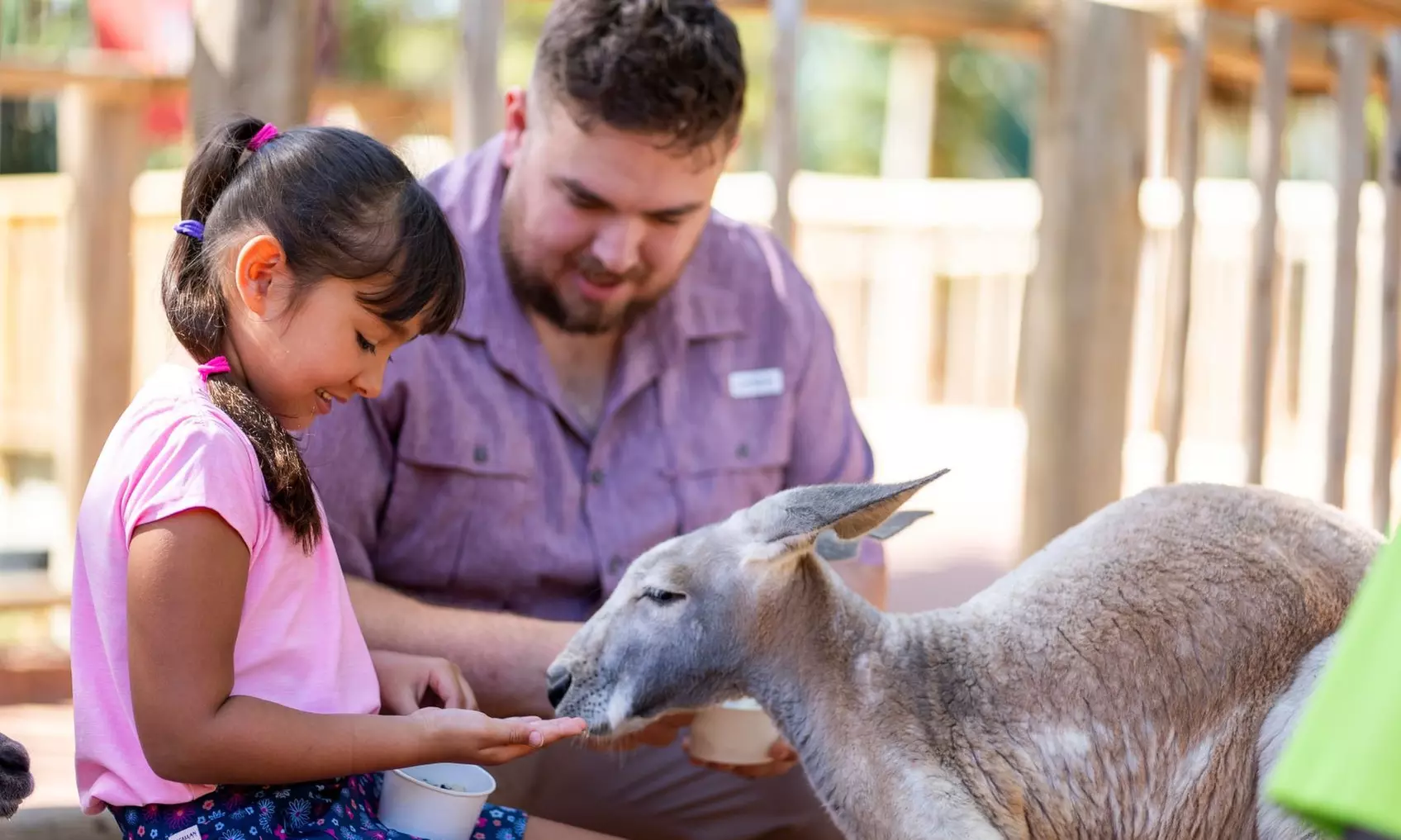 Save 62% on Busch Gardens Tampa Tickets, Fun Cards & Meals!