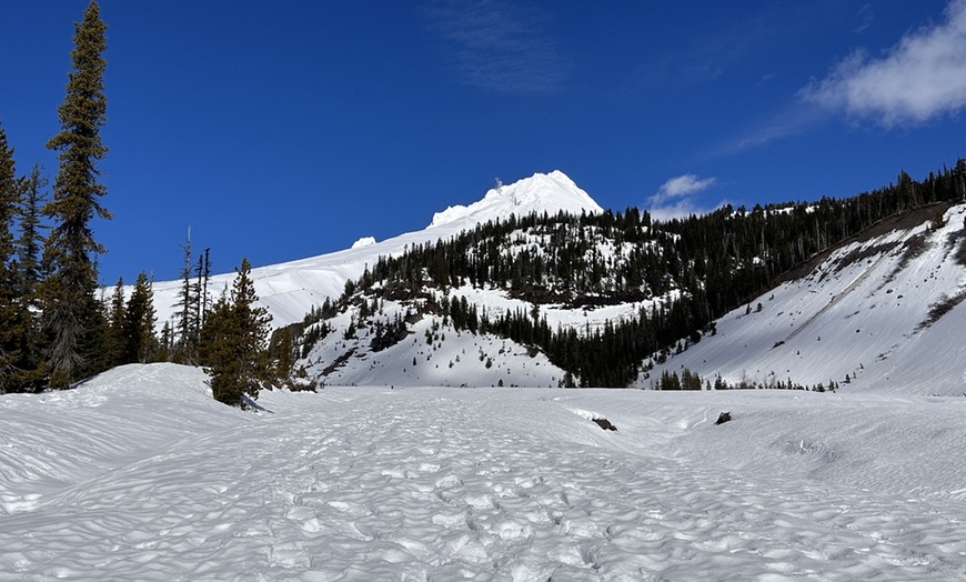 Image 10: Guided Snowshoeing in Mt St Helens or Mt. Hood for 4 Hours