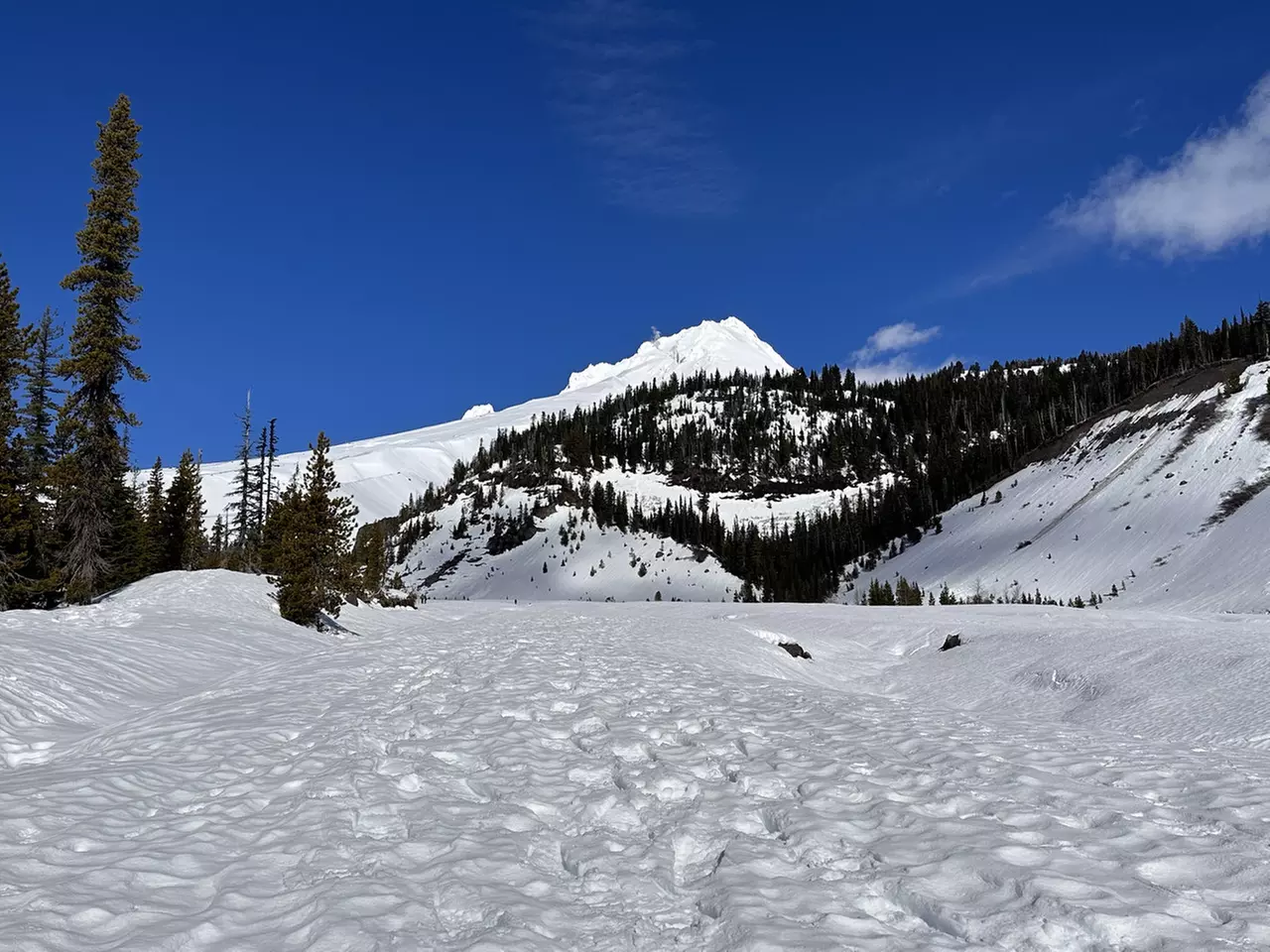 Guided Snowshoeing in Mt St Helens or Mt. Hood for 4 Hours