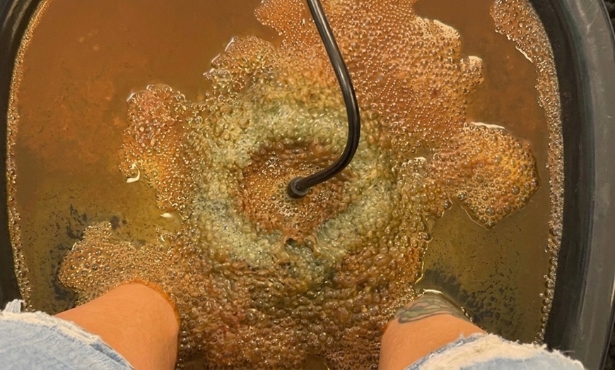 Image 11: Gel Nail Services, Pedicure Combos, or Ionic Foot Detox Options