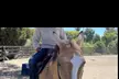 Horse riding and animal time at a private ranch. Family Experience, Mommy & Me, or Ranch Camp. All ages. Valid Mon-Fri - Second Medium