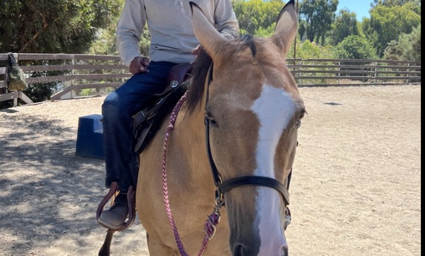 Image 4: Horse riding and animal time at a private ranch. Family Experience, Mommy & Me, or Ranch Camp. All ages. Valid Mon-Fri