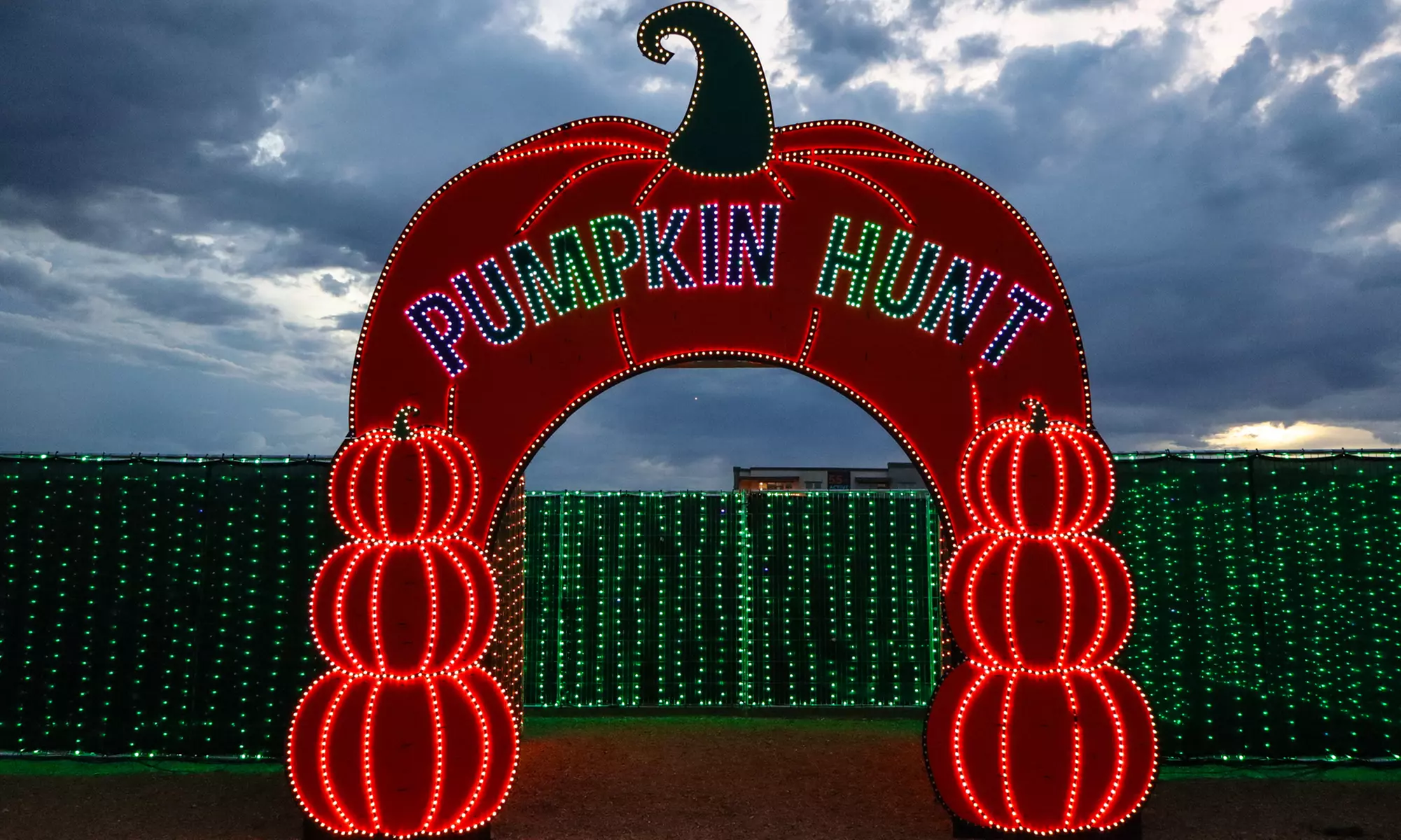 The Desert Fall Festival (September 26 - November 1)
