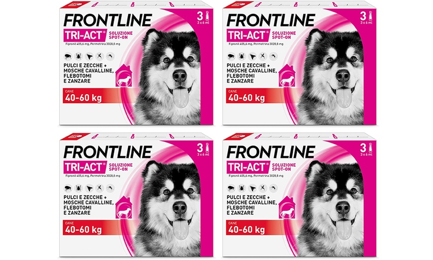 Image 11: Fino a 12 pipette Frontline Tri-Act® Spot-on per cani