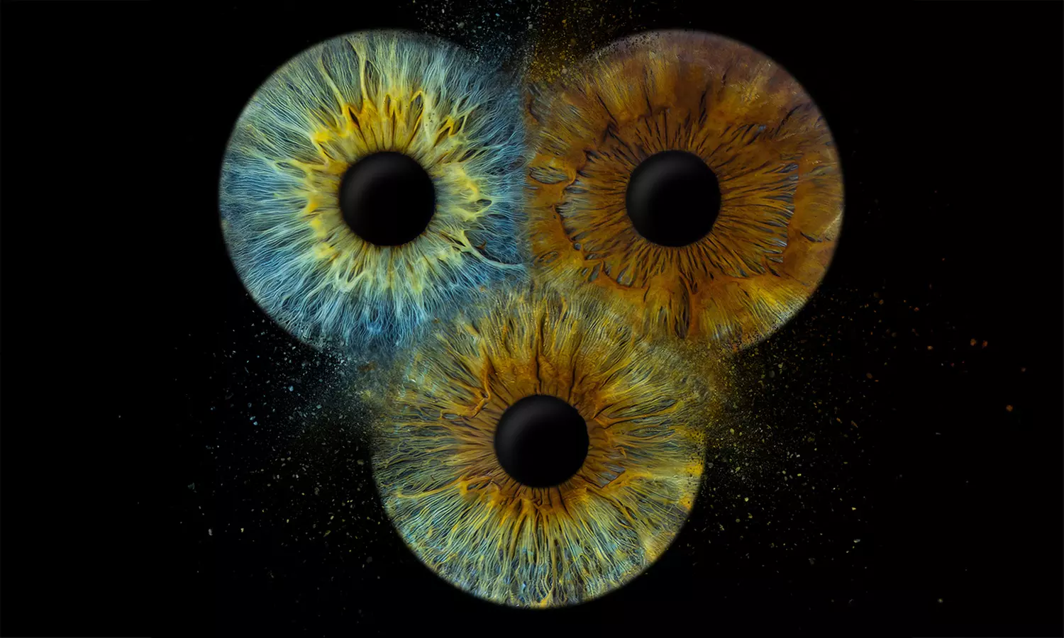 Odkryj magię spojrzenia: zdjęcia Twojej tęczówki w artystycznej formie w opcji Solo i Duo z EyeEssence (do -24%) - Primary Image