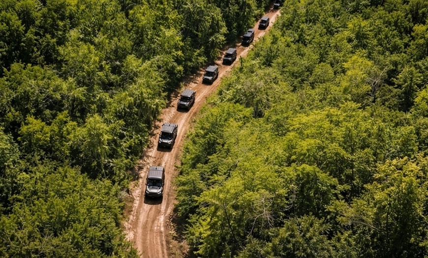 Image 4: Off-Road ATV/UTV Tour – Florida Trails