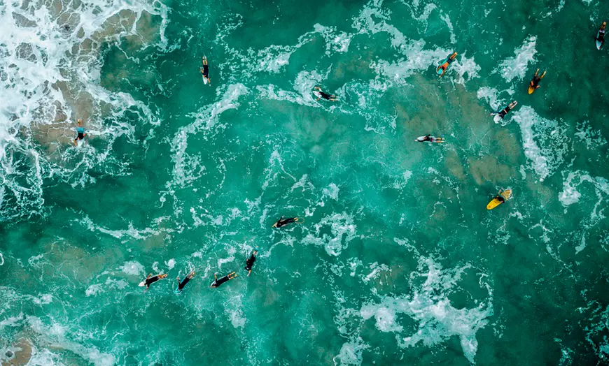 Image 5: ✈ 3 Nights: Gold Coast with Whale & Dolphin Watching