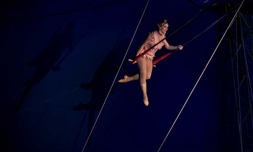 Image 12: Entrada oro o plata para niño o adulto al espectáculo "Viva el circo"