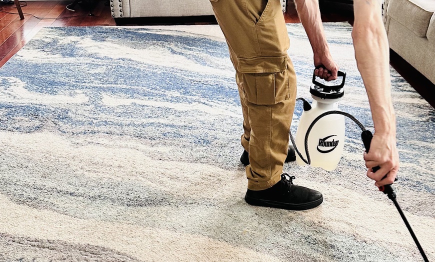 Image 7: Up to 55% Off on Carpet Cleaning at AirDuctify