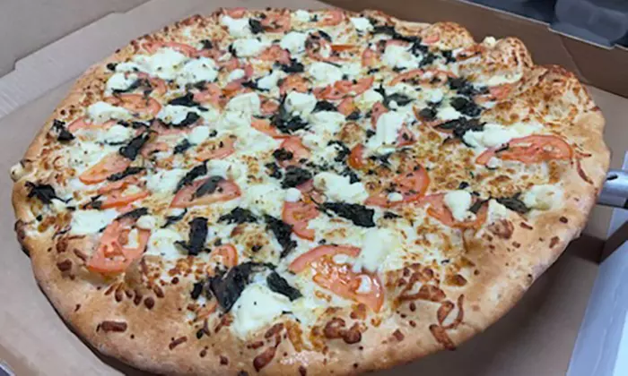 Appetizers, Large Salad, 14'' or 16'' Specialty Pizza, & More 