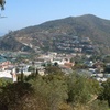 Image 7: Guided 2-Hours Tour: Canyons, Coastline & Wildlife at Catalina Island 