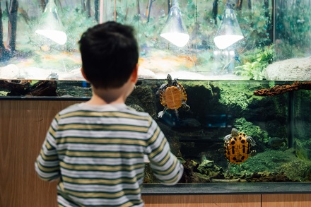 Two General Admission Tickets at Save the Bay Hamilton Family Aquarium - Save The Bay's, Newport, RI