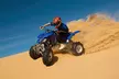 Premium Desert Tourism: Dubai & Sharjah Desert Safari w/ Horse or Camel Ride & Quad Bike Options (Up To 72% Off) - Image 5