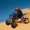 Image 5: Dubai & Sharjah Desert Safari with Horse, Camel Ride or Quad Bike

