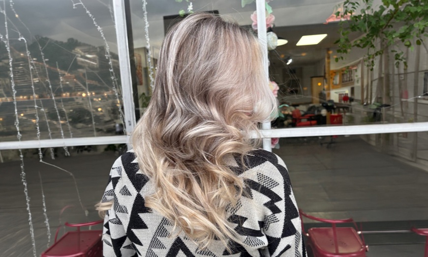 Image 7: Refreshing Haircut & Blowdry or Partial Blonde Highlight
