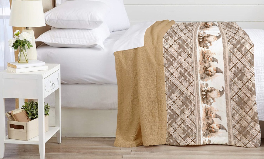 Image 13: Sherpa-Decke