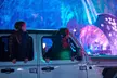 On-Peak or Off-Peak Time: Admission to Drive Thru Fun Co. Presents Snow Magic through January 21 , 2022 (Up to  Off) - Second Medium