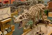 Up to 27% Off Toward Dinosaur Park Admission for 2, 3, or 4 - Second Medium