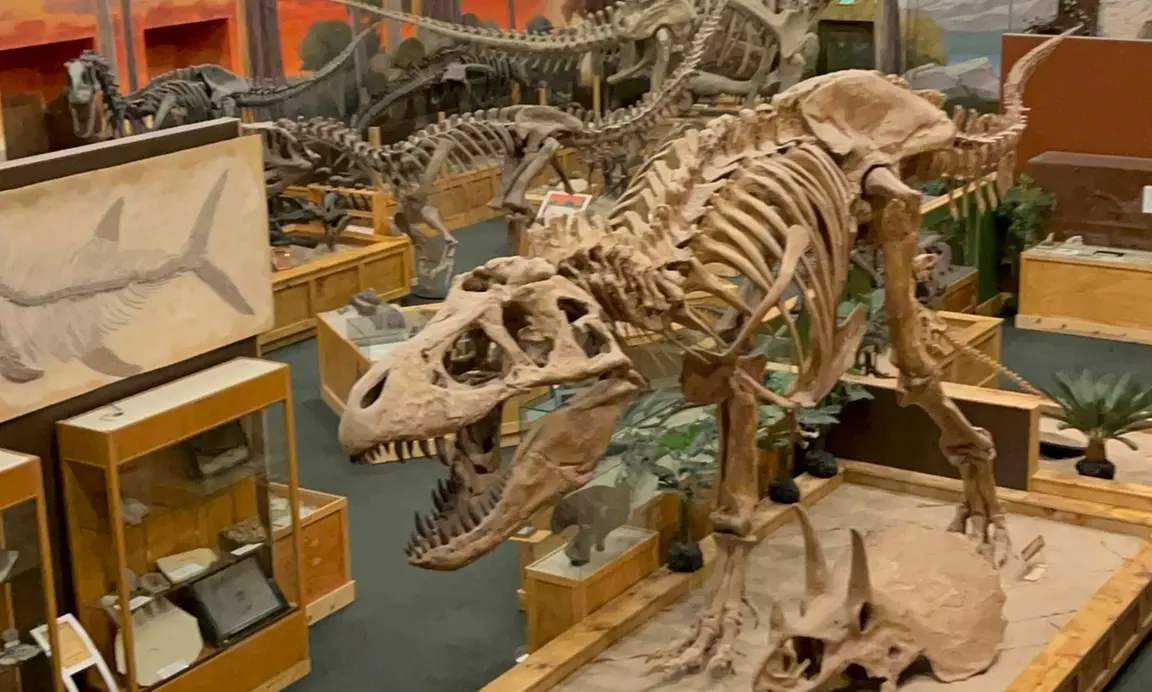 Dinosaur Park Admission for 2, 3, or 4 – Fun and Educational!