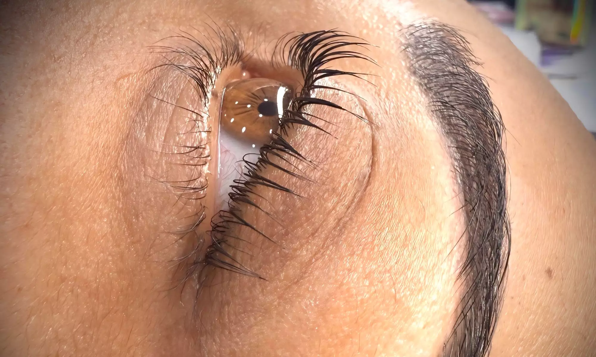 Lash Lift and Brow Tint