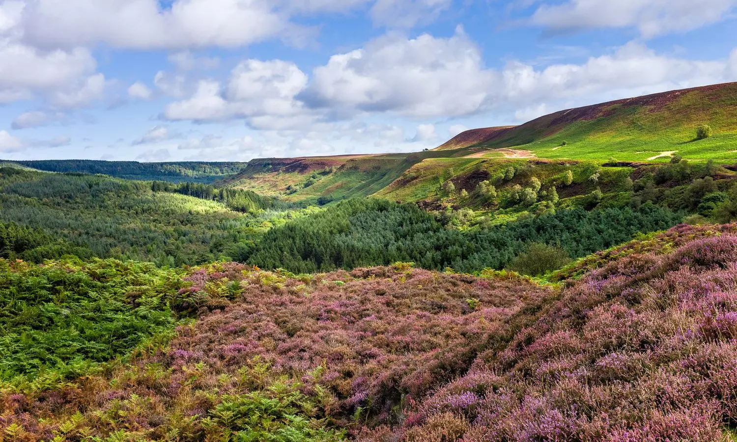 Prosecco Afternoon Tea for 2, 3 or 4