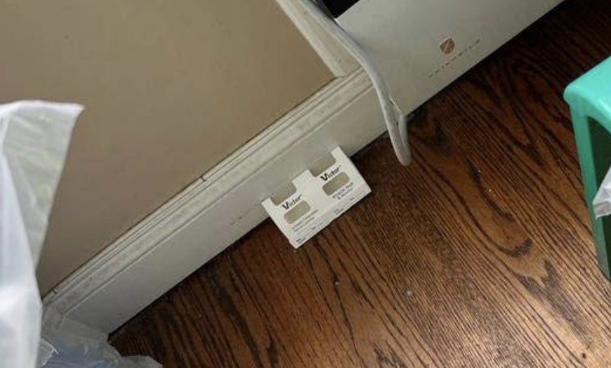 Image 4: Secure your Home with Pest Prevention, Rodent, or Roaches Treatment 