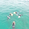 Image 10: Up to 41% Off SEABOB Snorkel Tours – Fort Lauderdale Beach
