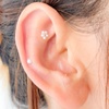 Image 1:  Jewelry Ear Seeding w/ 24k Gold/Silver Pellets for Overall Wellbeing