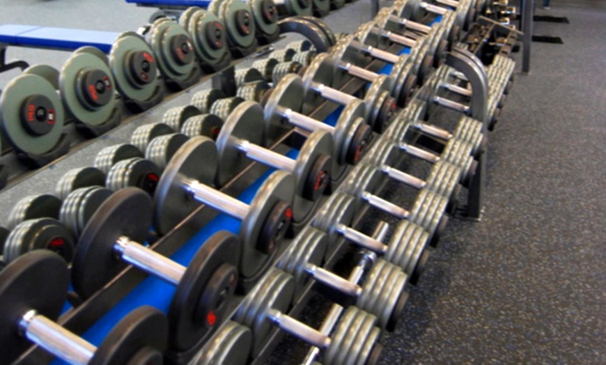 Image 2: Private, Personalized Fitness Training in Bellmore